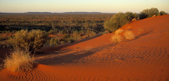 Voyage sur-mesure, Simpson Desert